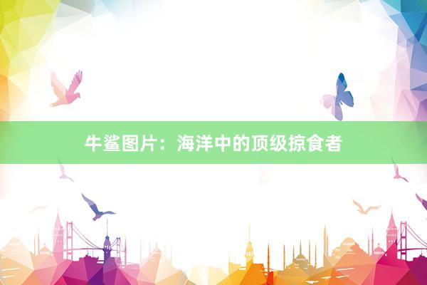 牛鲨图片：海洋中的顶级掠食者
