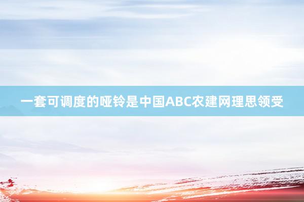 一套可调度的哑铃是中国ABC农建网理思领受